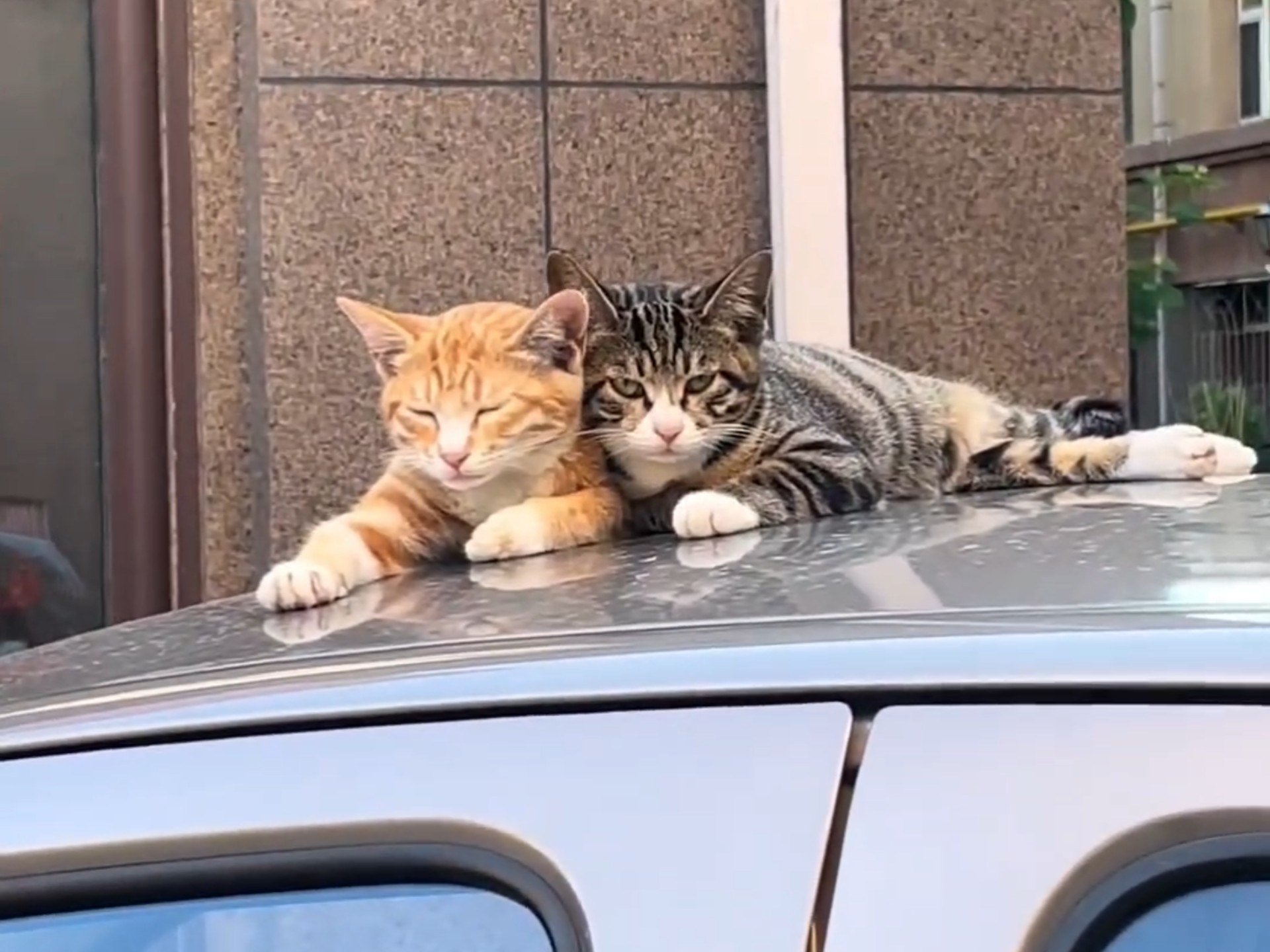 我们是最好最好的 对吧