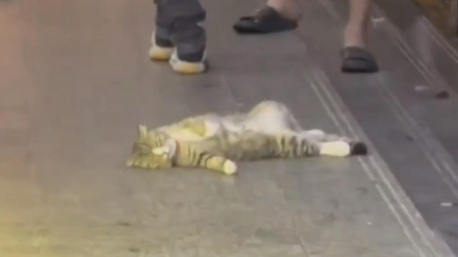 七月精选，量大管饱