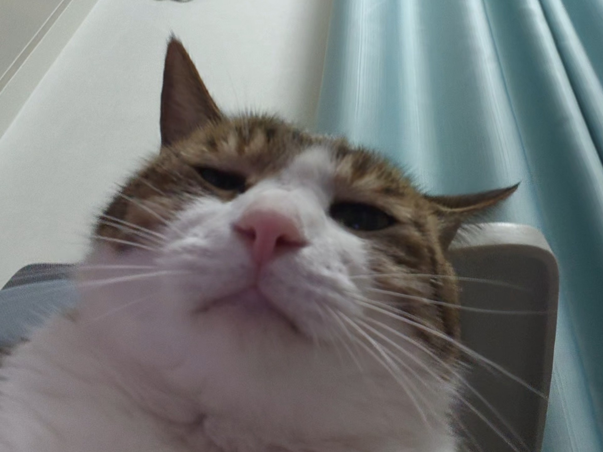 妙妙喜不喜欢拍屁这个问题十年了我都没看明白