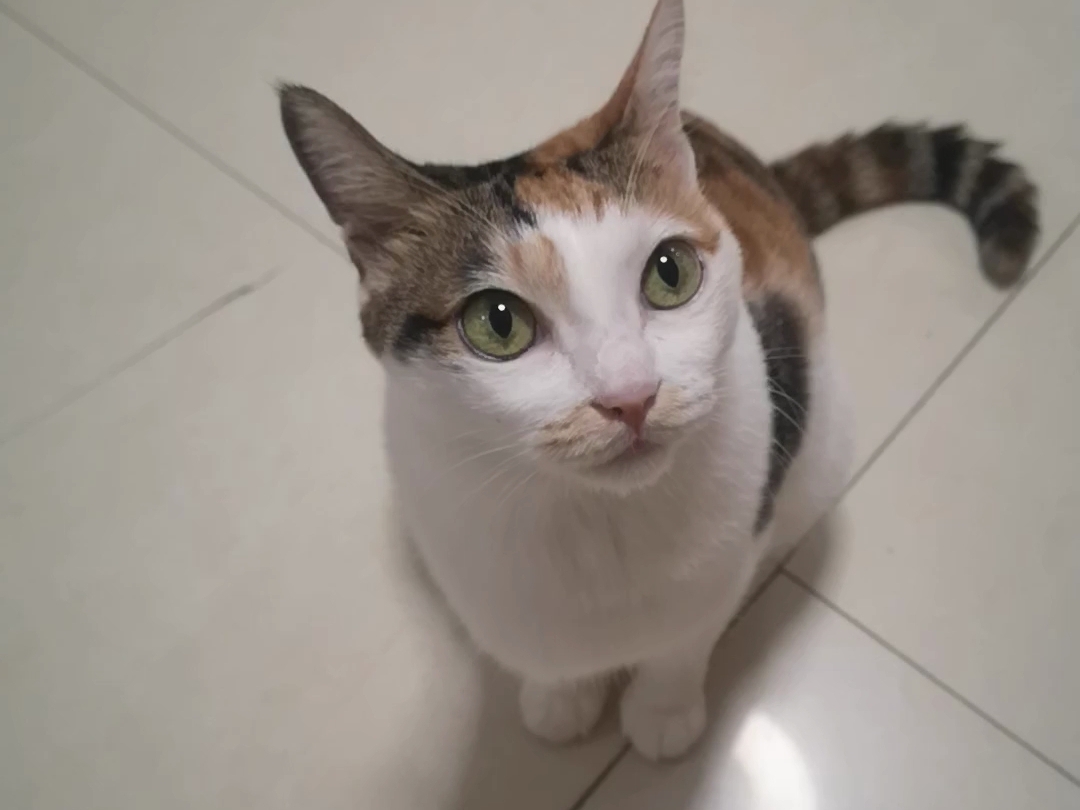 不仅吵开机，还要吵人过去围观