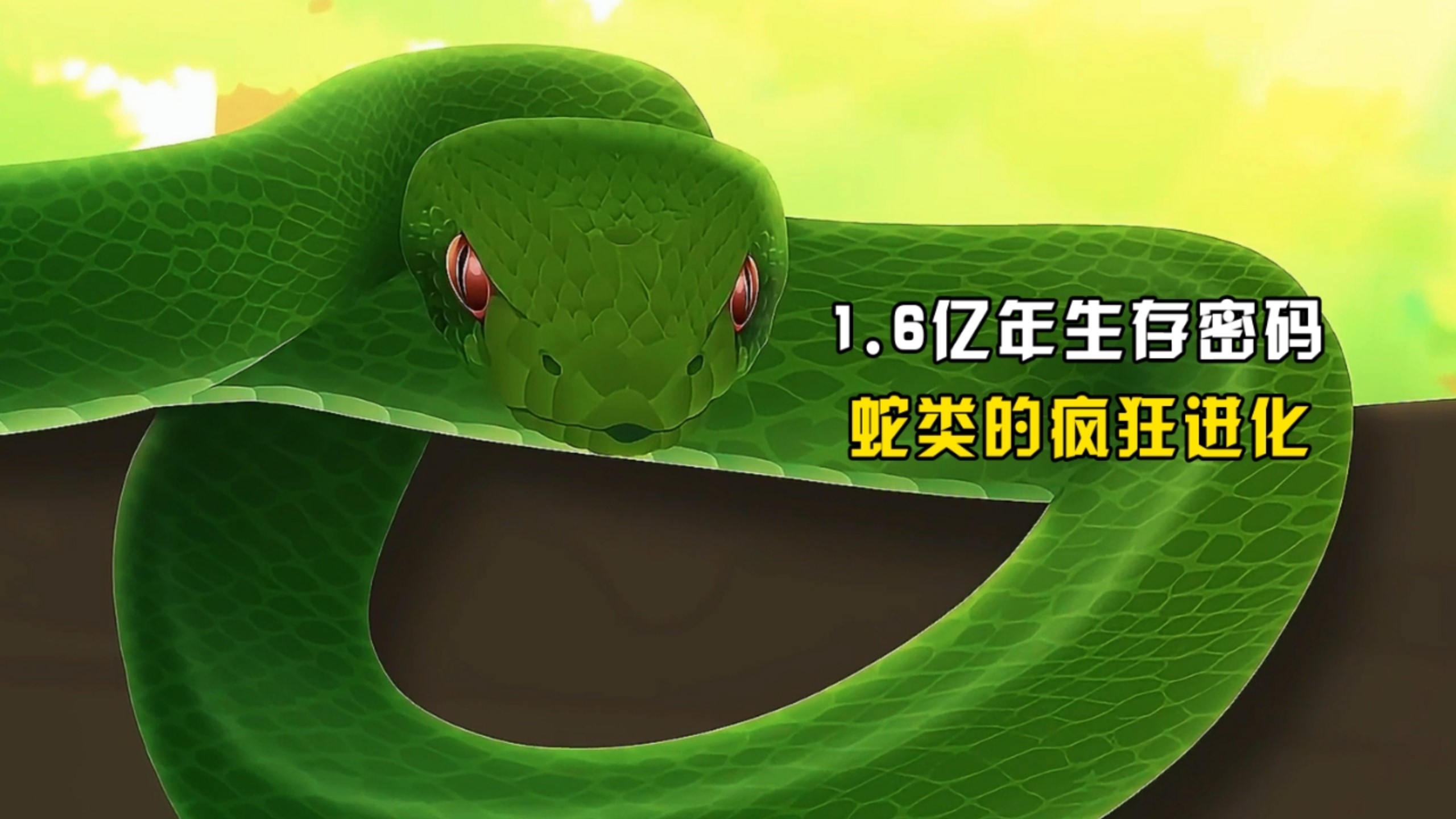 1.6亿年生存密码 蛇类的疯狂进化