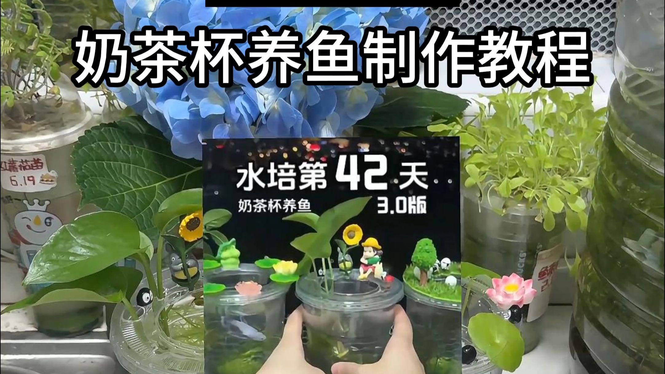 奶茶杯养鱼制作教程