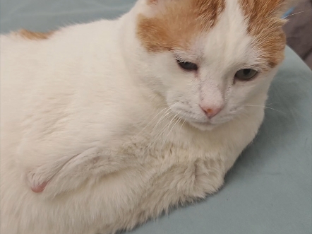 壮说要跟我去北京