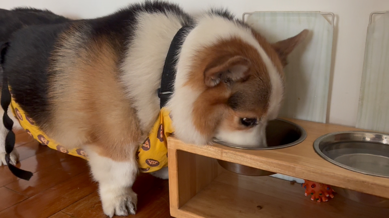 吃饭饭