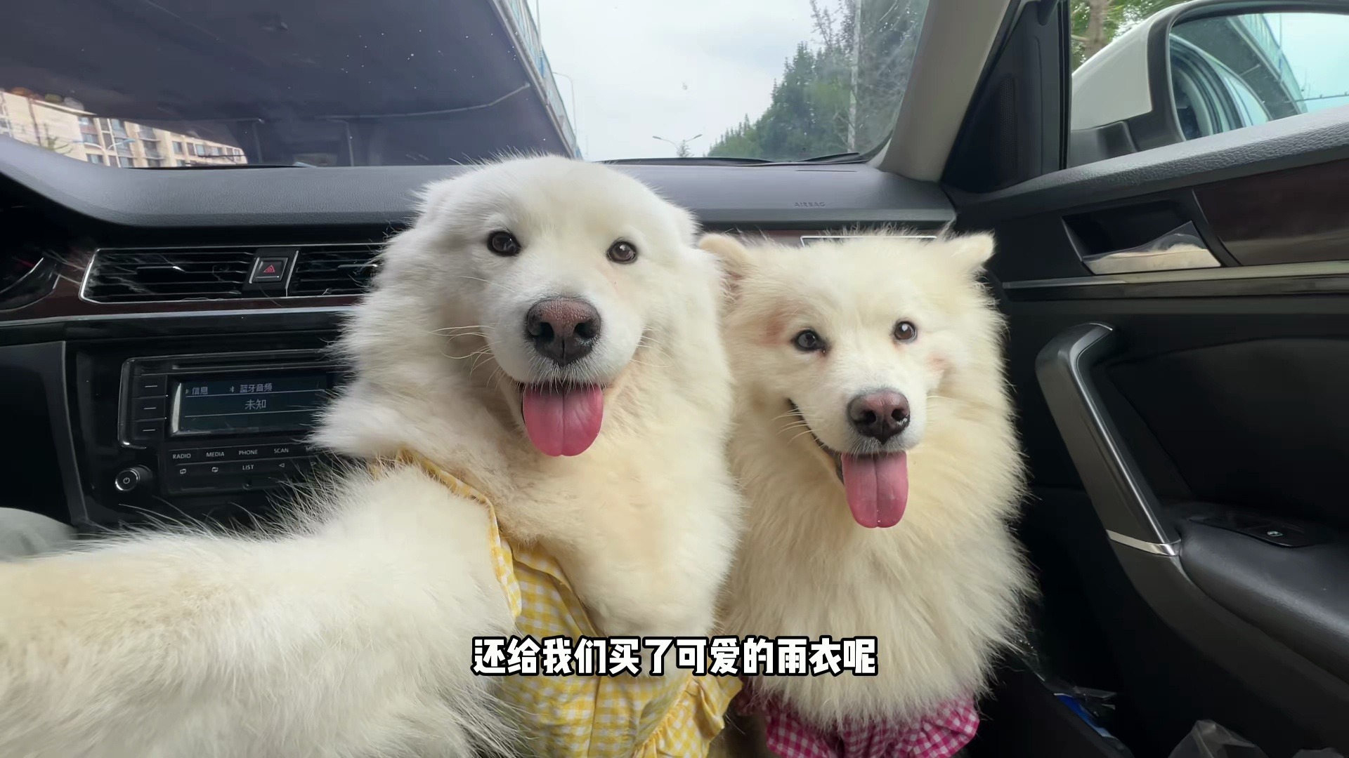 姨姨们游乐园有个旋转什么来着～嘿嘿～