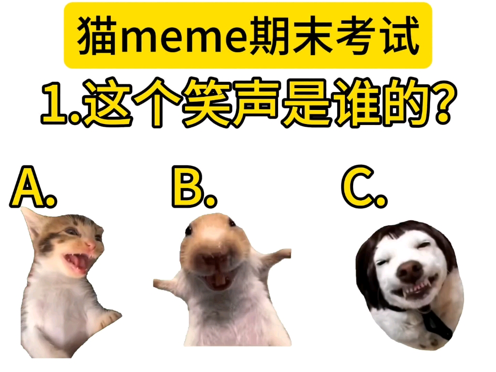 【猫meme】猫meme期末考试（重置版）