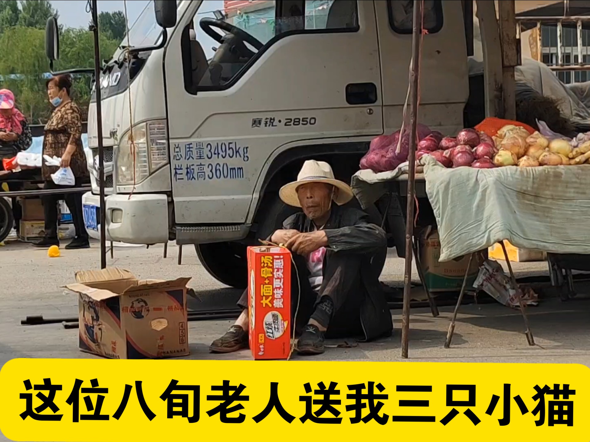 这位八旬老人送我三只可爱的小猫