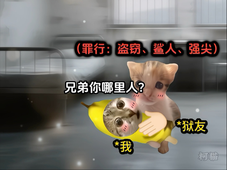 狱友把我当好兄弟，我拿他换一等功