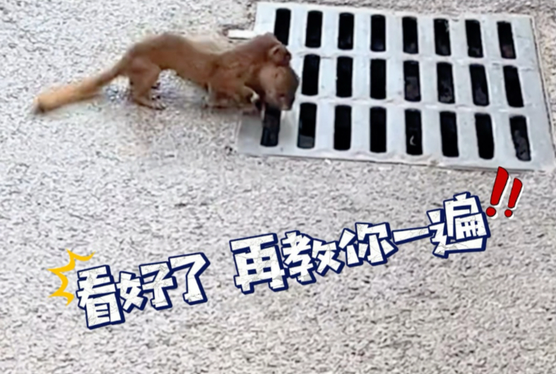 哈哈哈 忍住 别笑