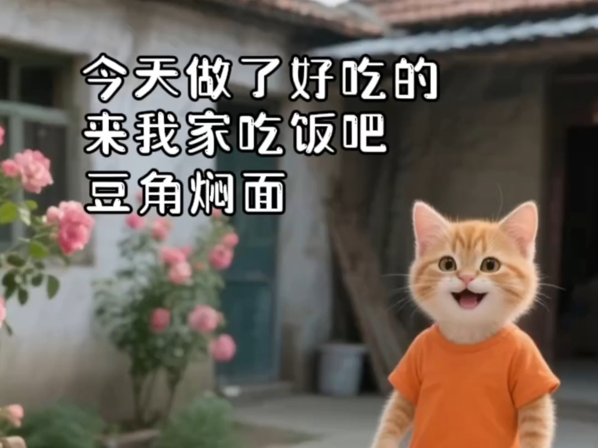 小橘猫做了豆角焖面，请大家去家里吃饭，你要来吗？