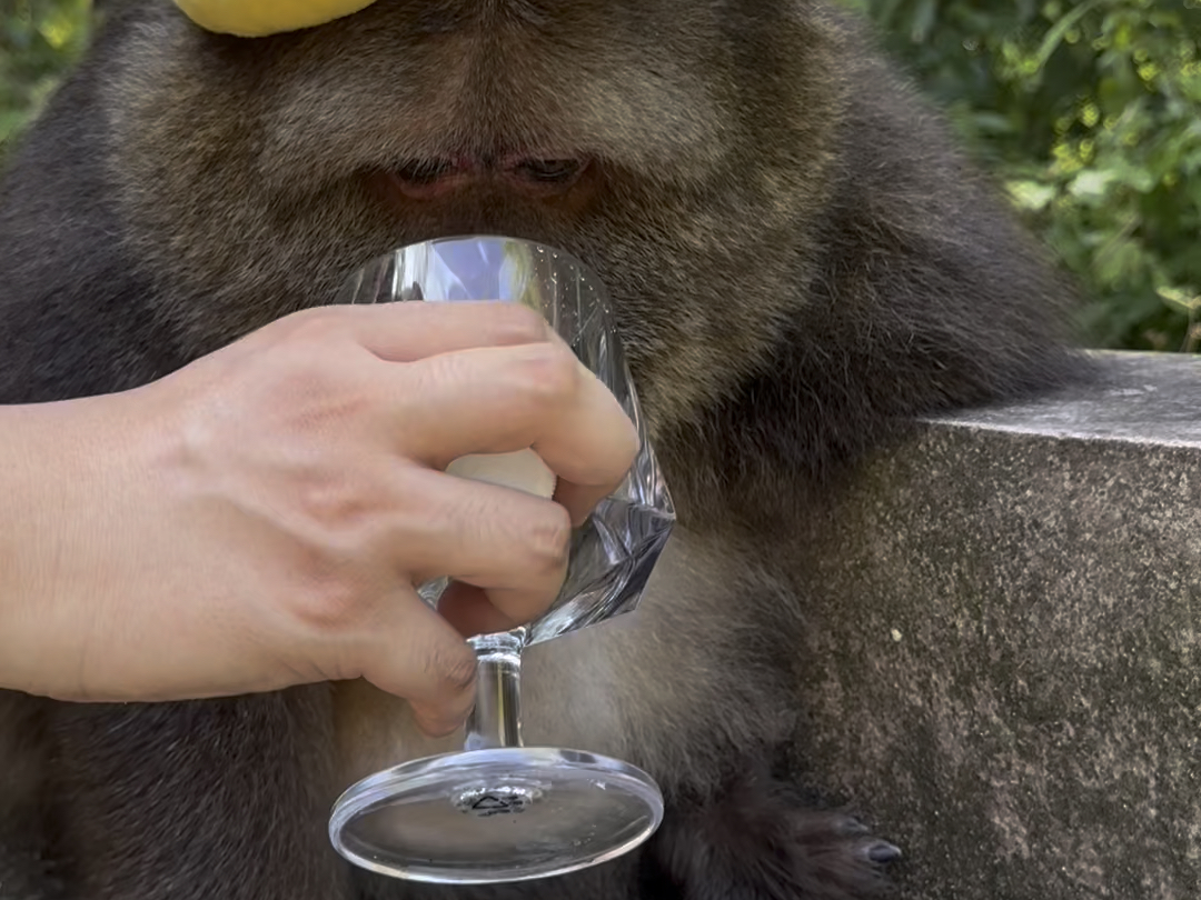 哪有谁家好人刚一见面送金箍啊