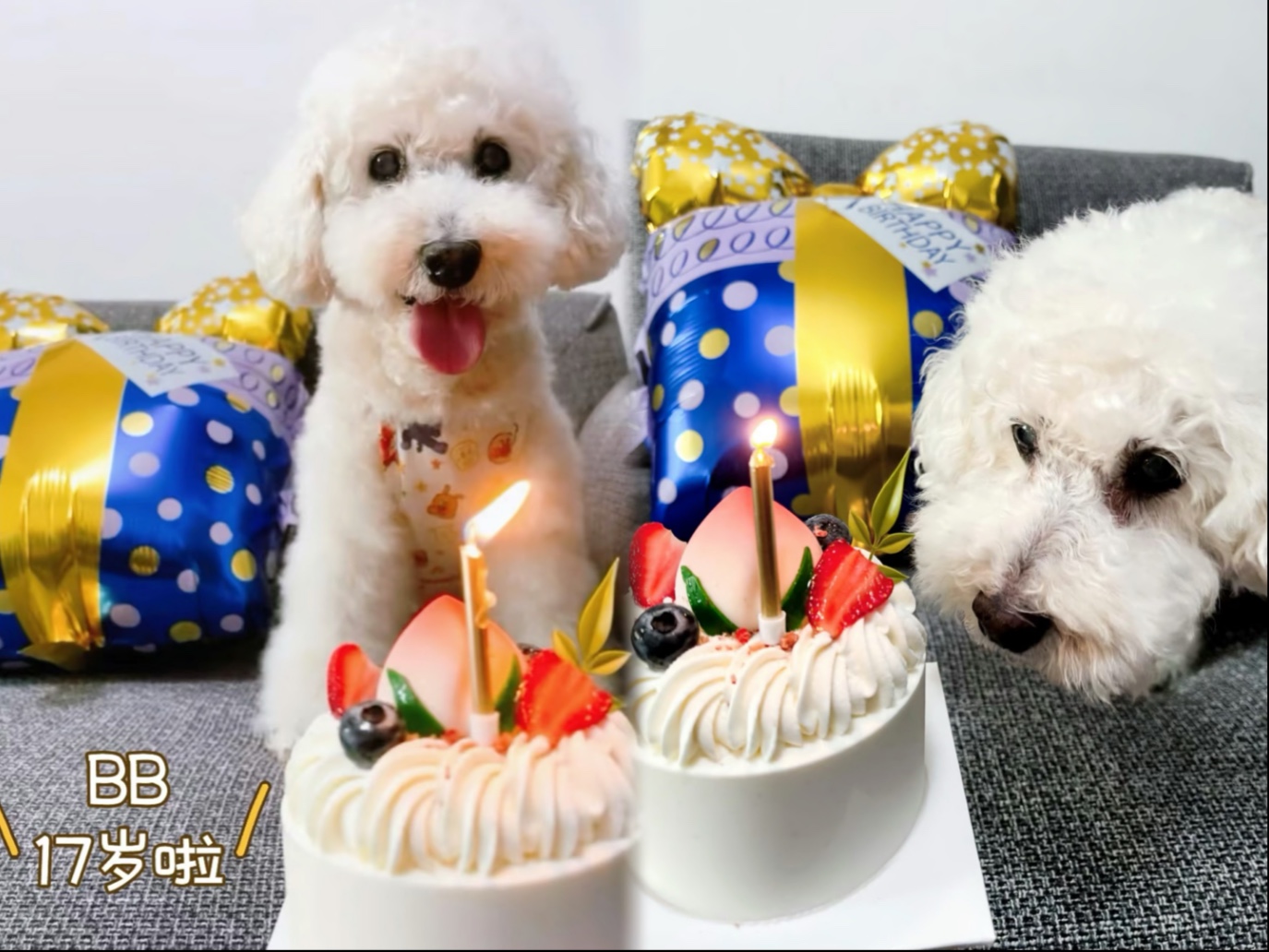 17岁生日快乐！我的宝贝啊，人生又何止这样…