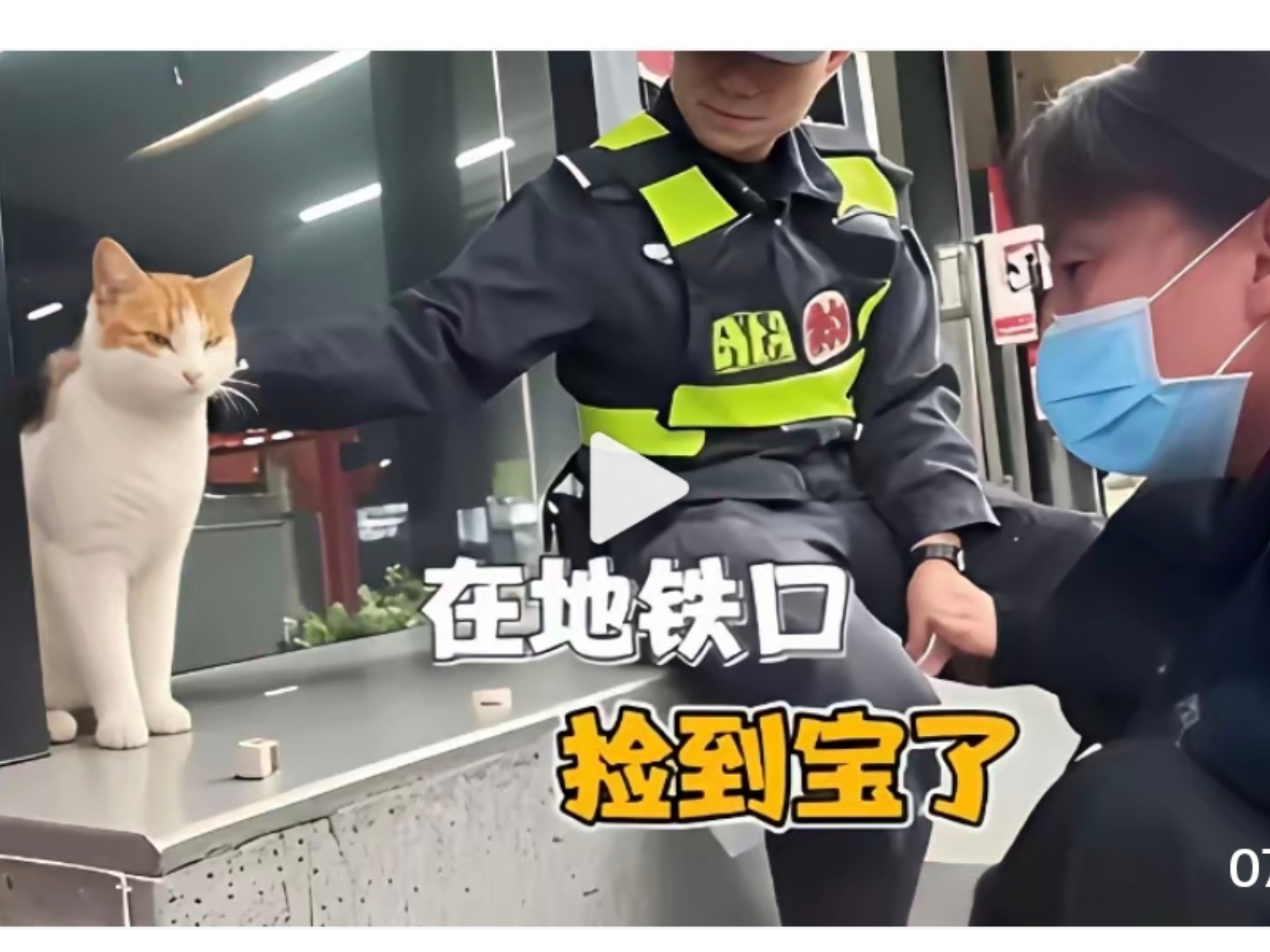 在地铁口的一只太亲人的流浪大橘猫，让我“拐”回了家