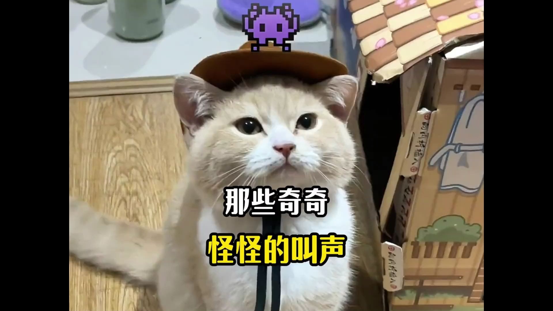 动物那些奇奇怪怪的叫声