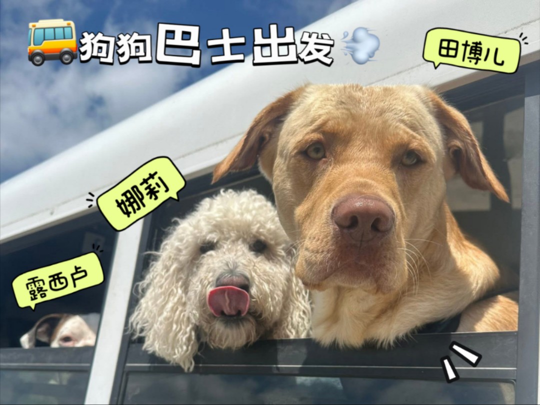 看看今天的进度条是哪个泥小子～