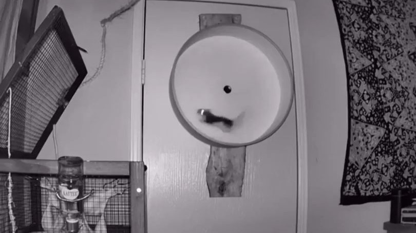 轮子都干冒烟了