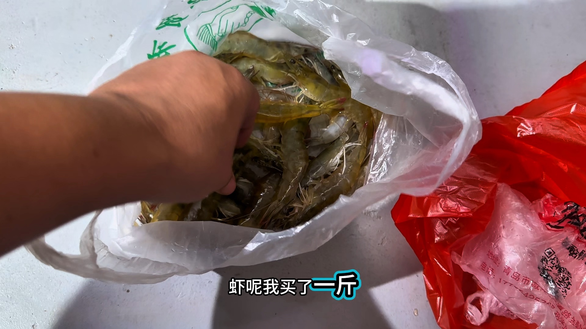 泥巴缸第三十天#水族#鱼缸