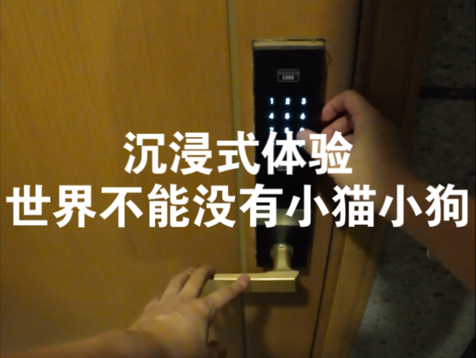 糟糕，被小猫包围了