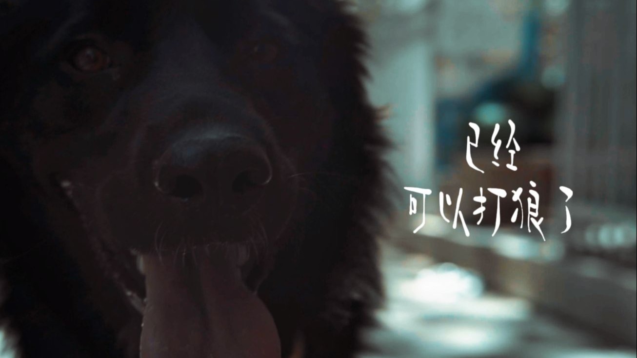 已经可以打狼了？