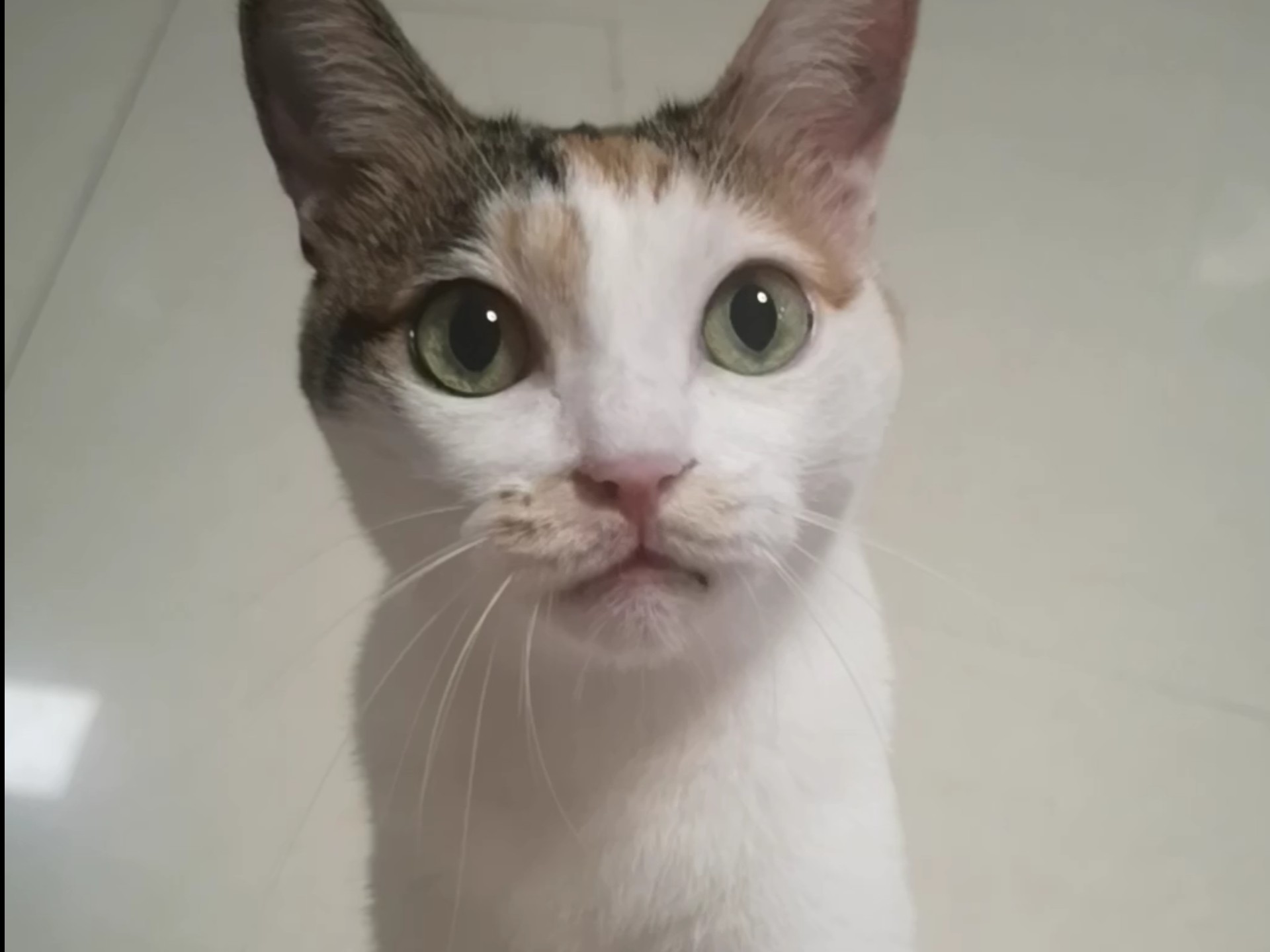 当我不给她开跑步机