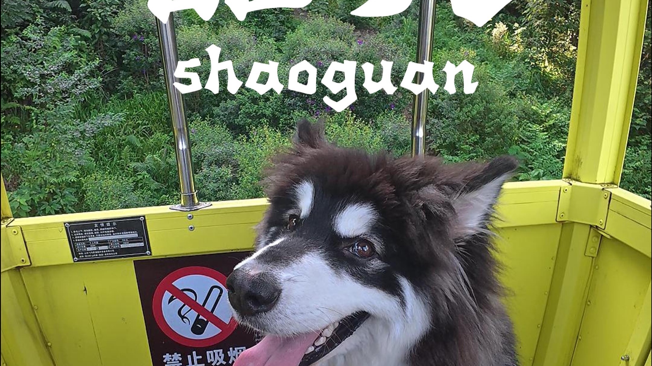 “你总问我害不害怕，其实在你身边我根本就不害怕”