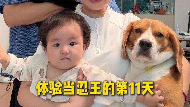 一个bug是bug，一堆bug就能work