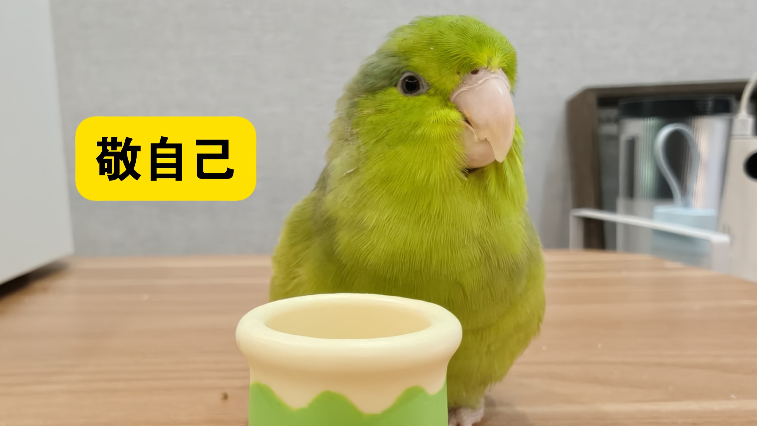 它说做鸟不易要敬自己