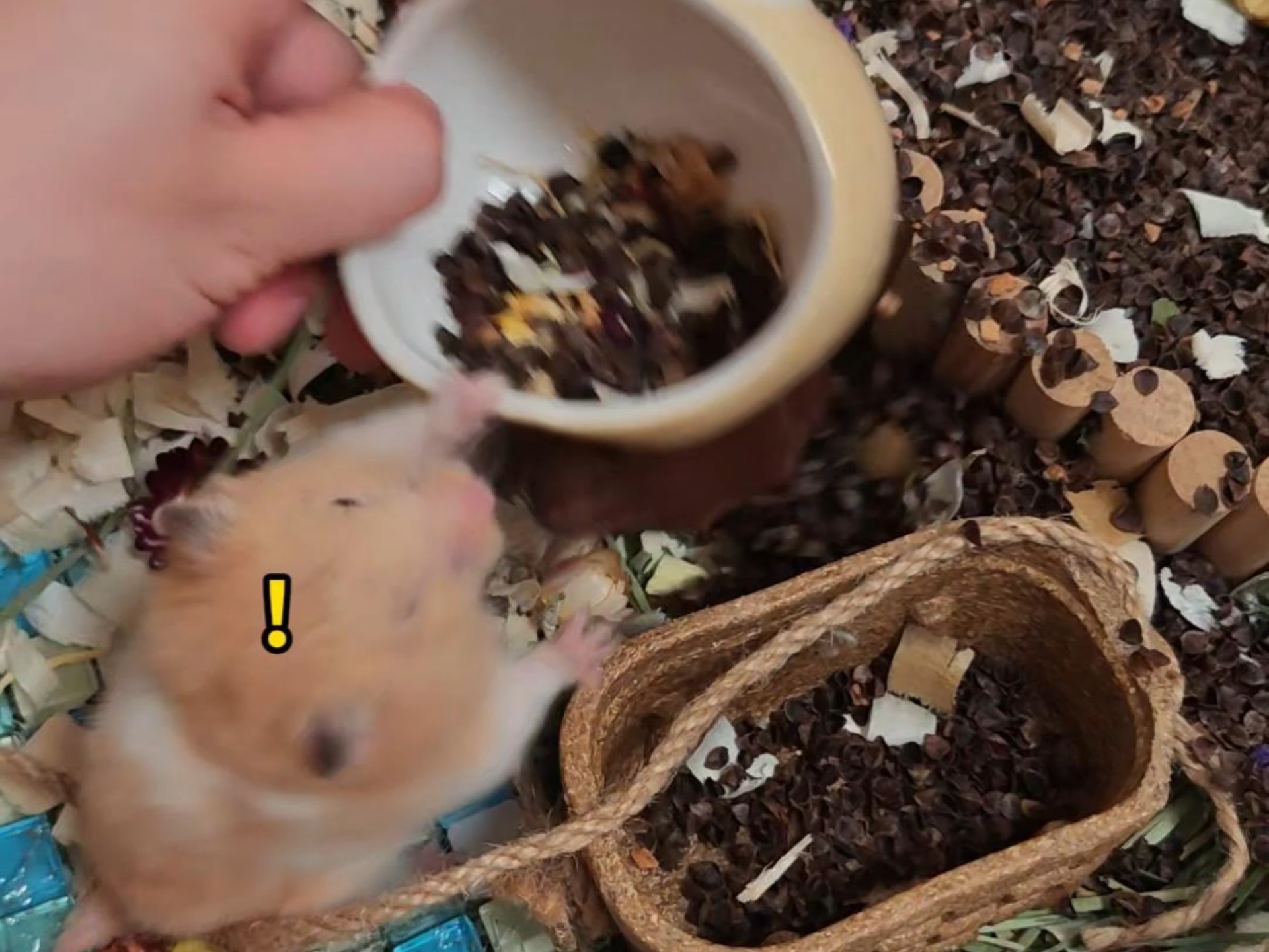 鼠：我真的要报警了