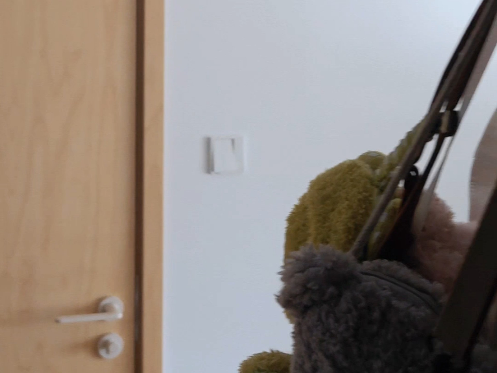 飞过来不敢落脚 只能飞好几次瞄一眼看看我在干什么