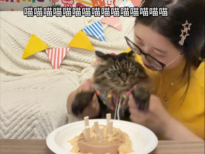 让我们停下来，祝这只小猫七岁生日快乐