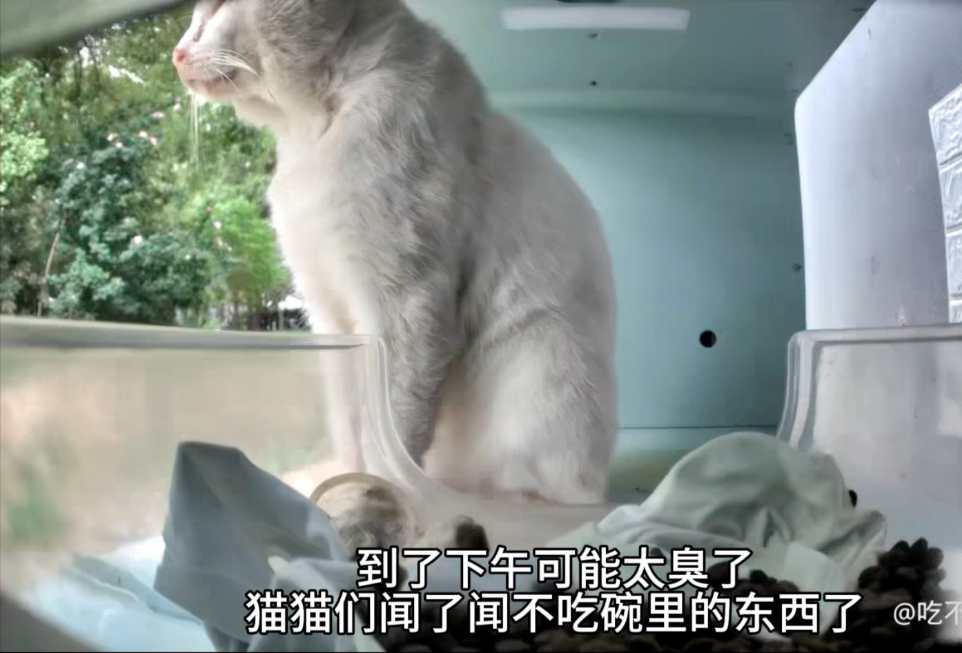 被人恶意放了byt和带血平角裤的猫屋