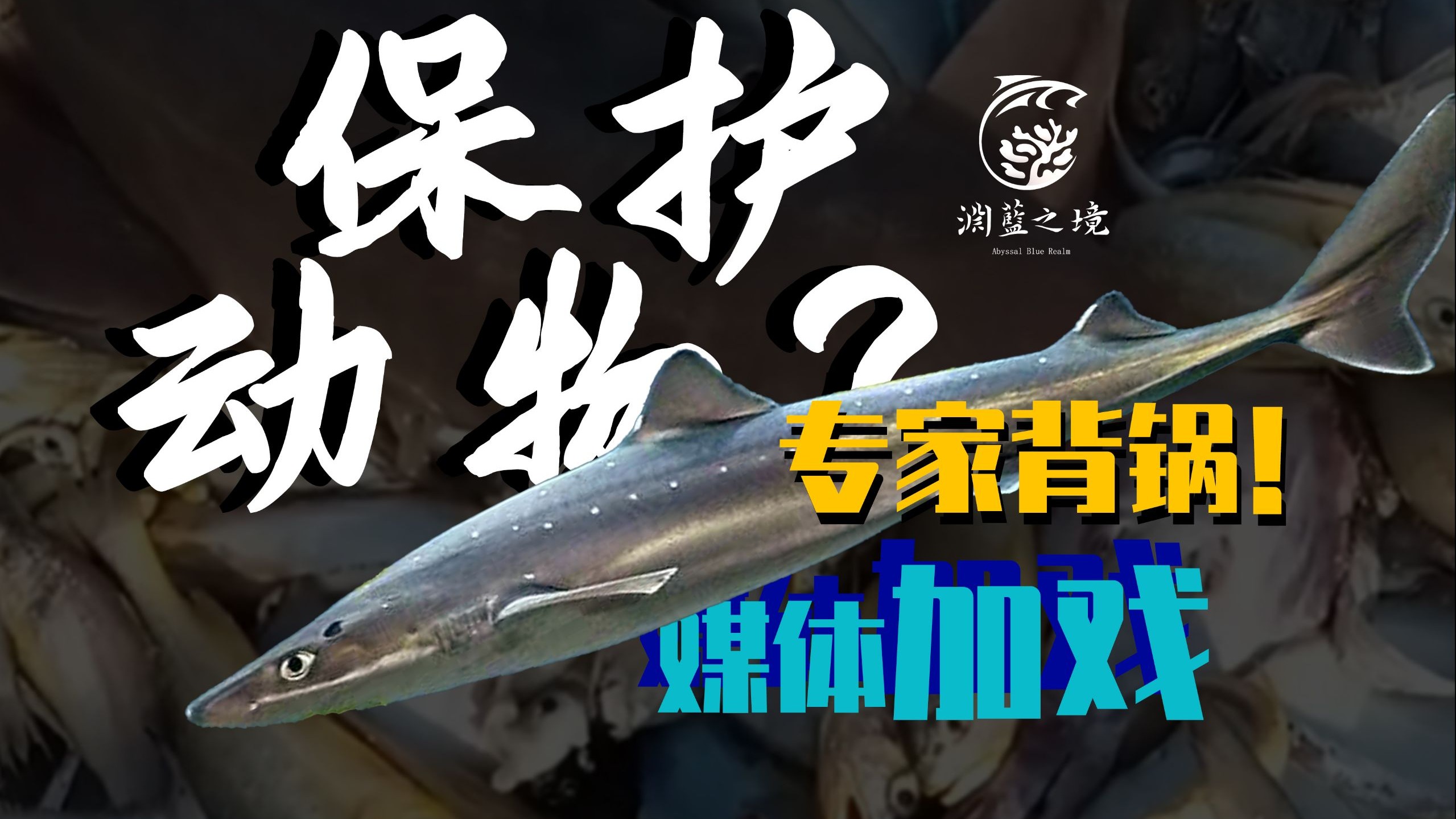 【Talking】保护动物？新闻学魅力时刻！