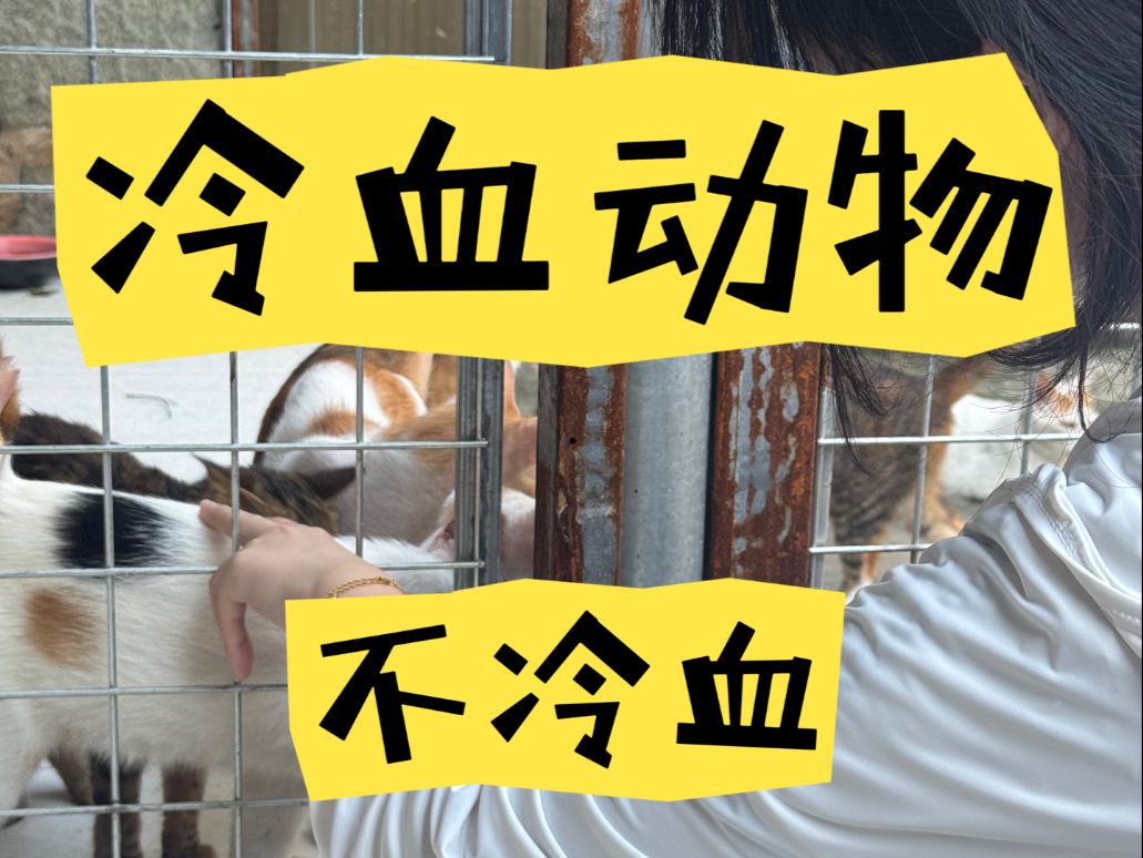 您卖爬宠 我们救助 爬宠订单里的隐藏善意