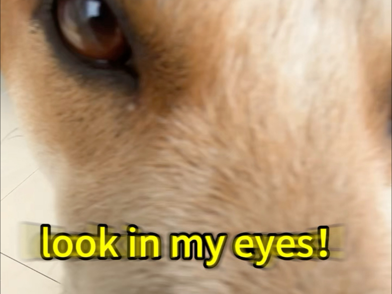 这个肠粉真不错