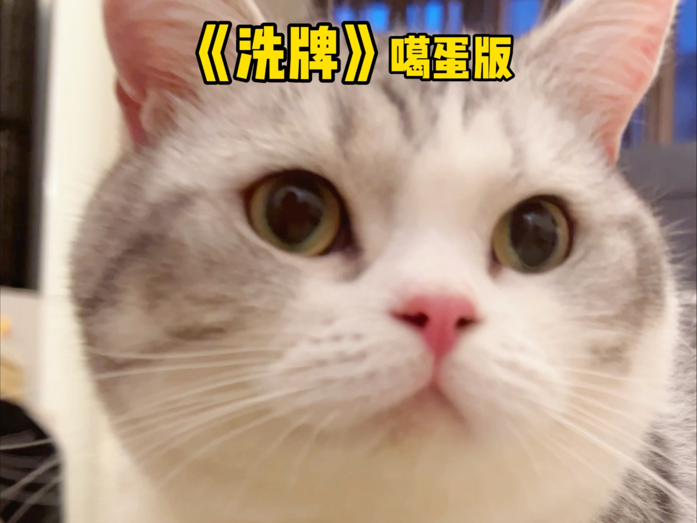 nurse和doctor 职业噶蛋killer