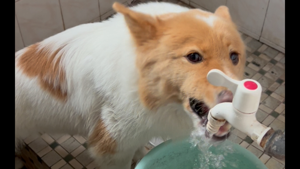 2025.8.28，小宝儿，再坚持一下，马上我们就去看医生了。