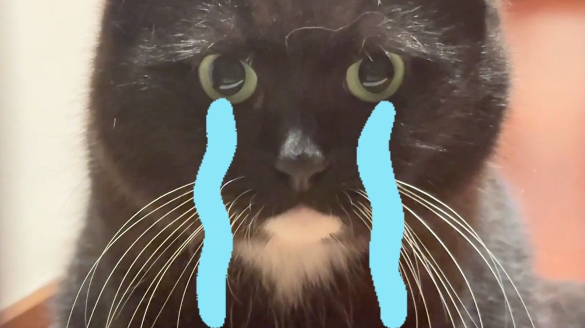 丧彪的身世居然是....？！