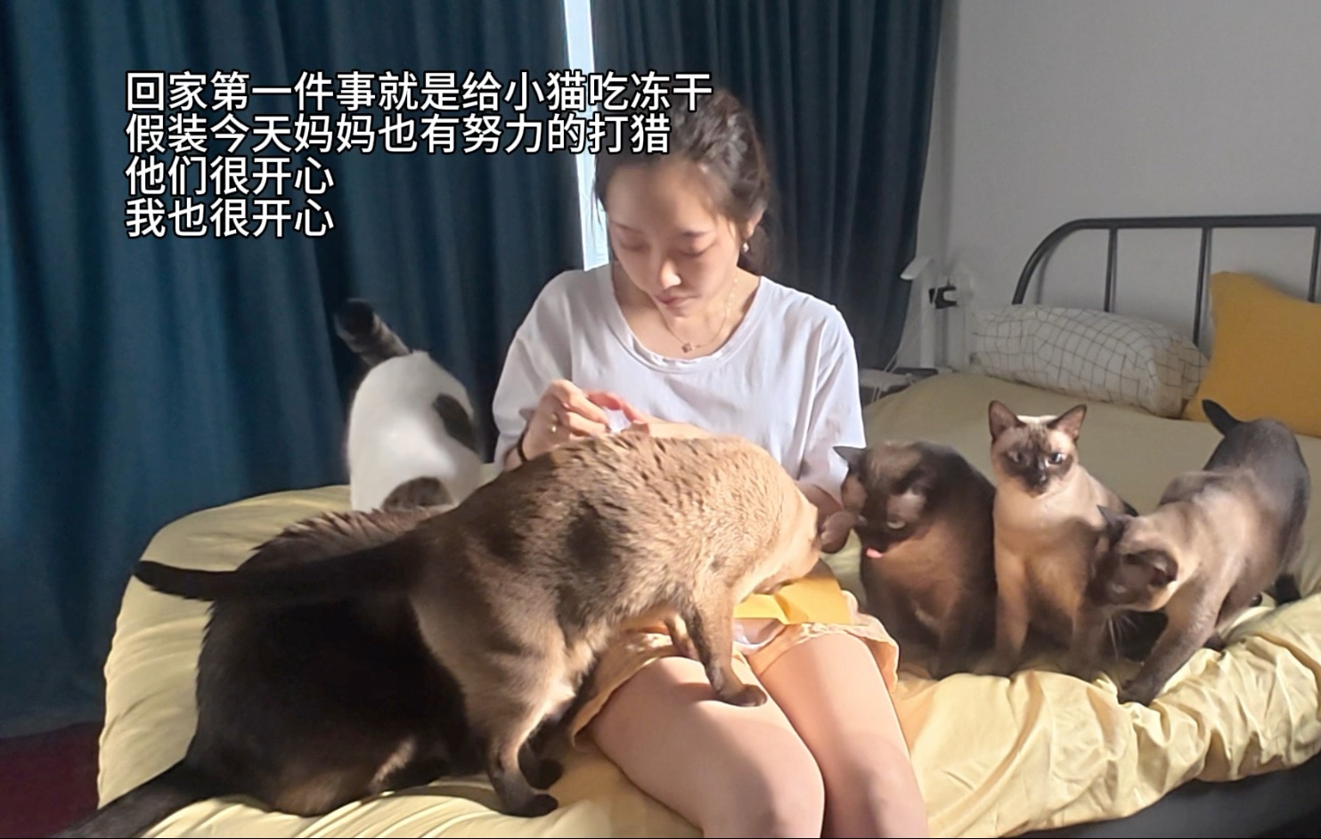 猫：今天我妈妈也打猎成功了！