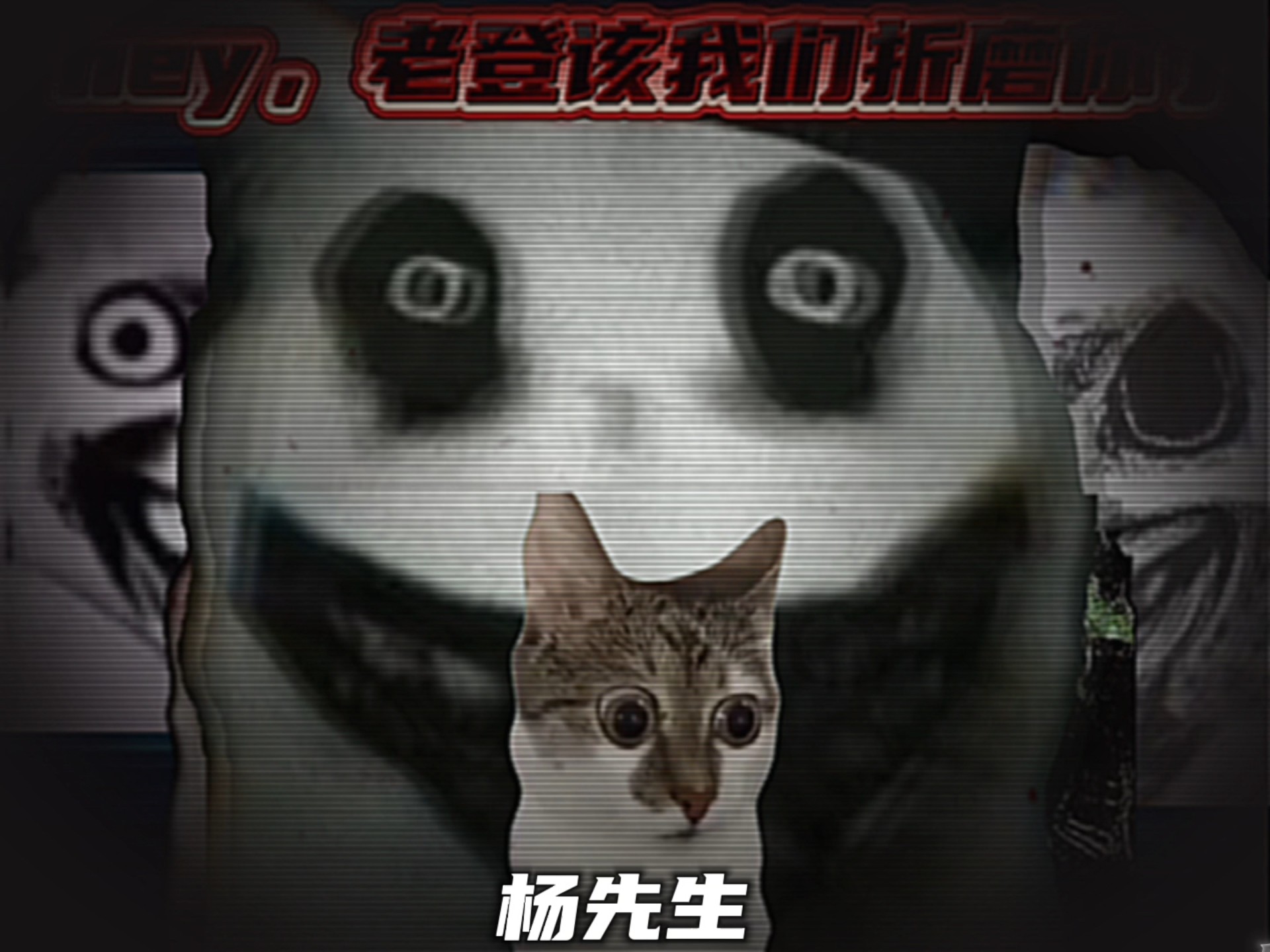 当你从戒网瘾学校逃出来后（后续）