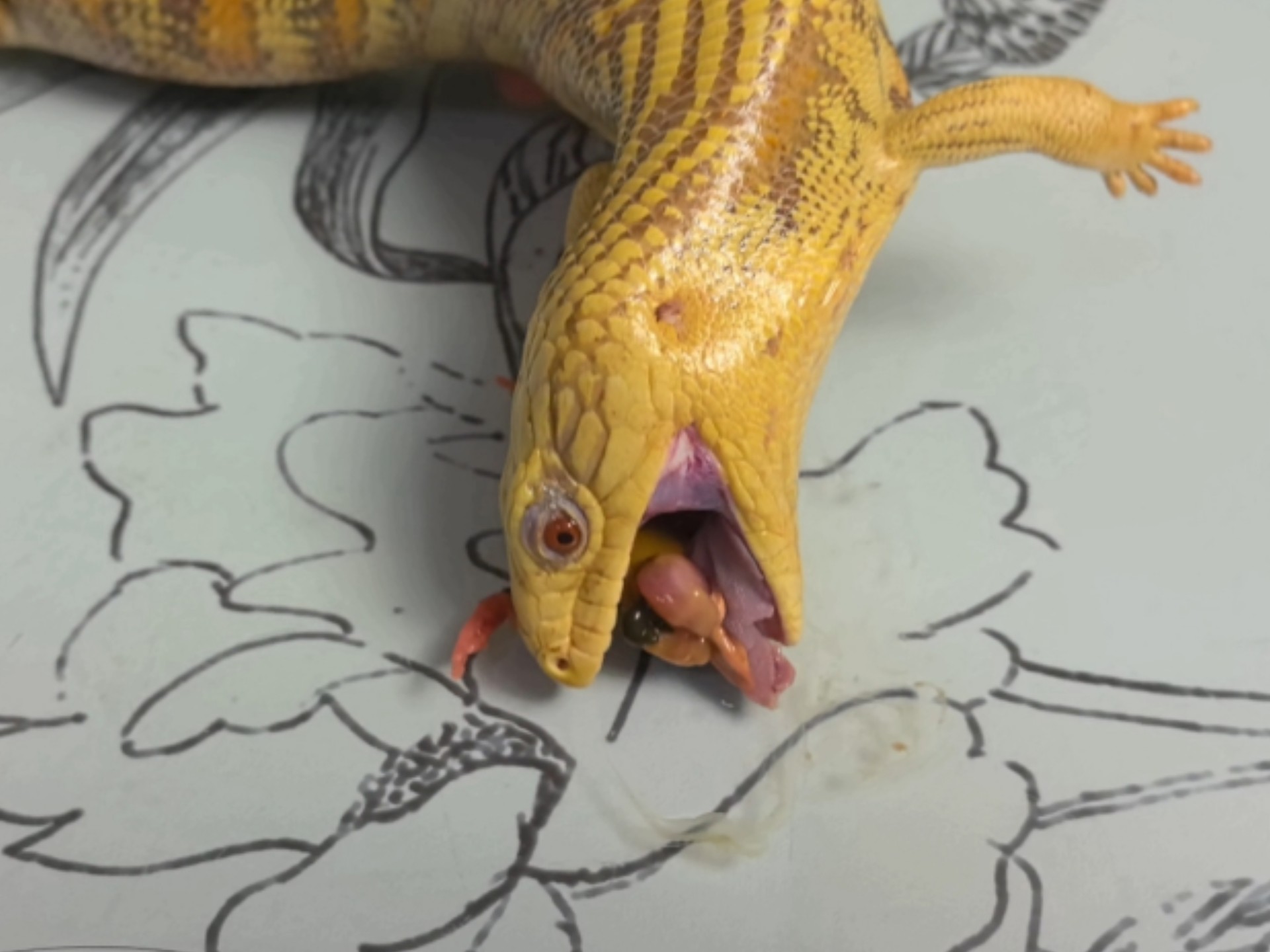 两年不见，脑疾好了吗？好不了一点