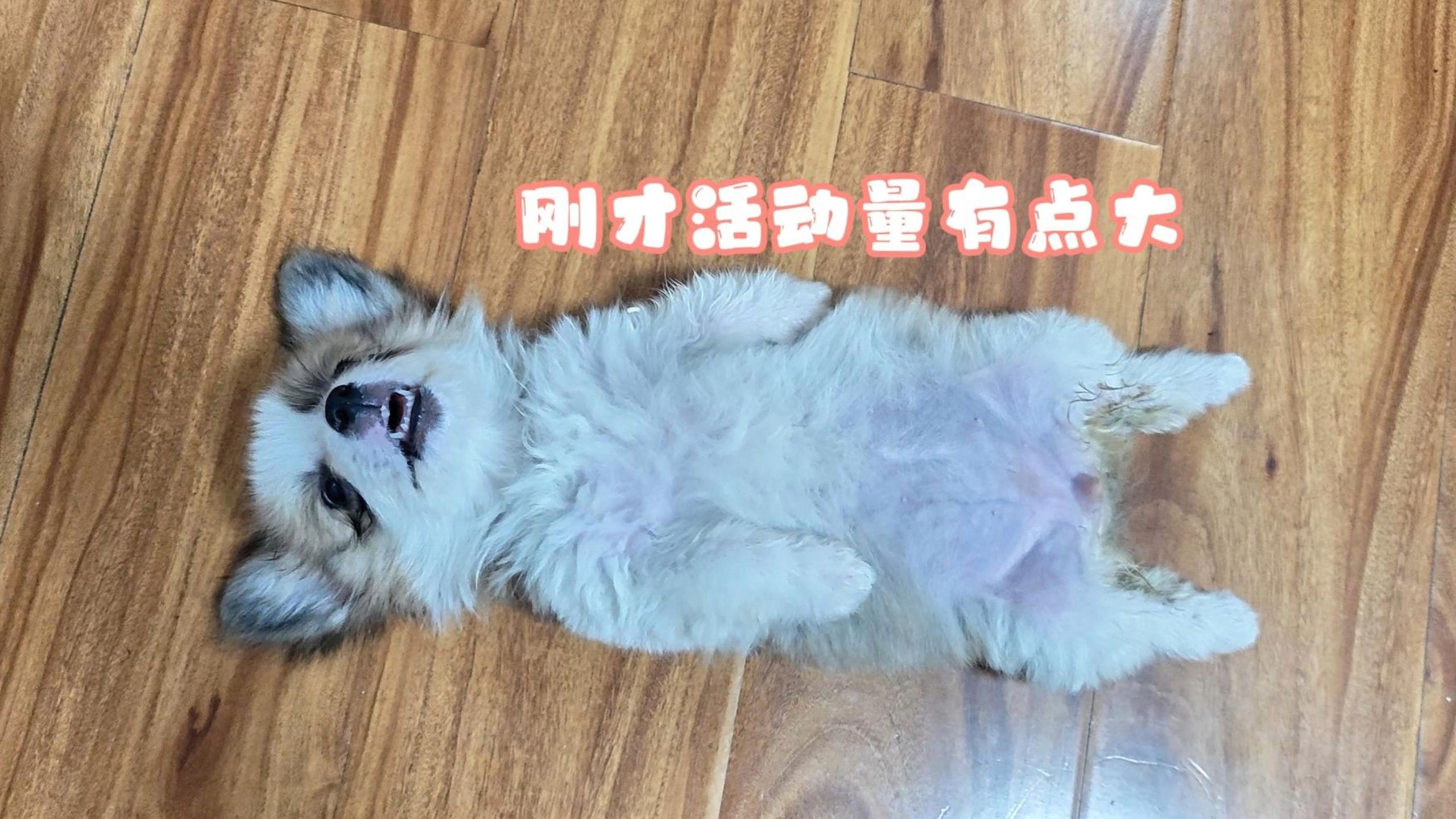 小甜妹也是有点脾气在身上的！