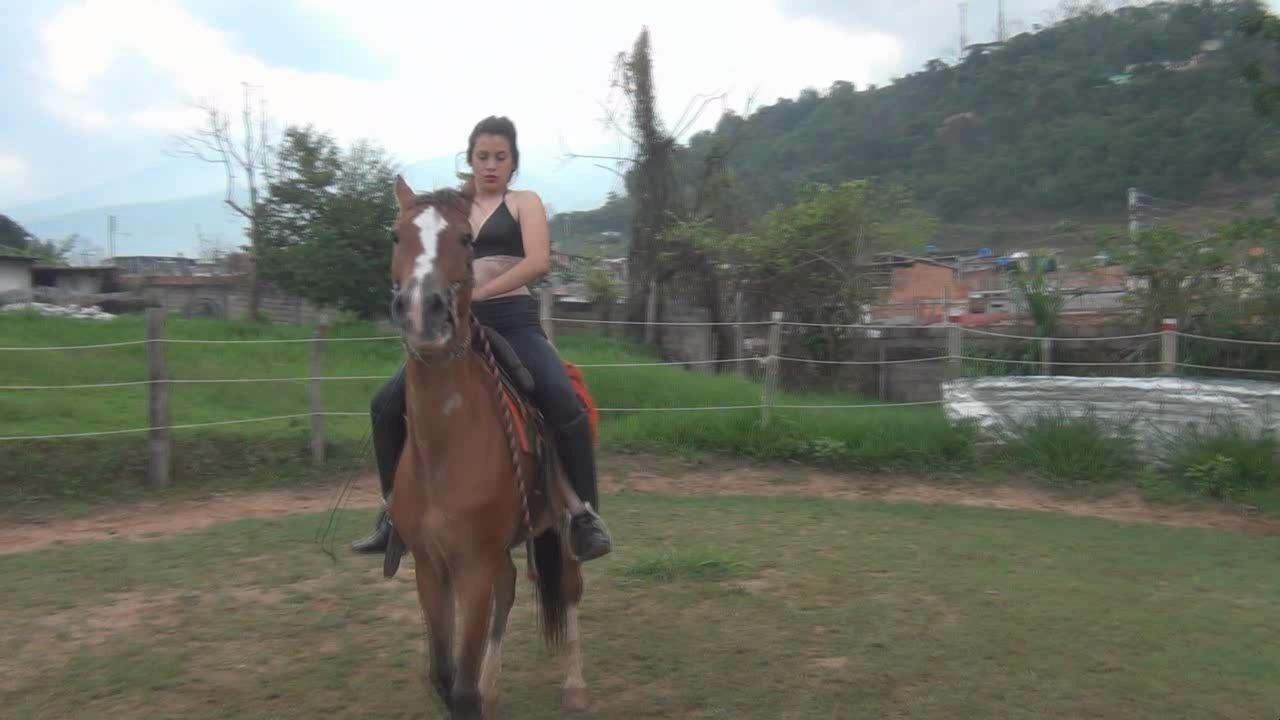 美女紧身裤狠骑马