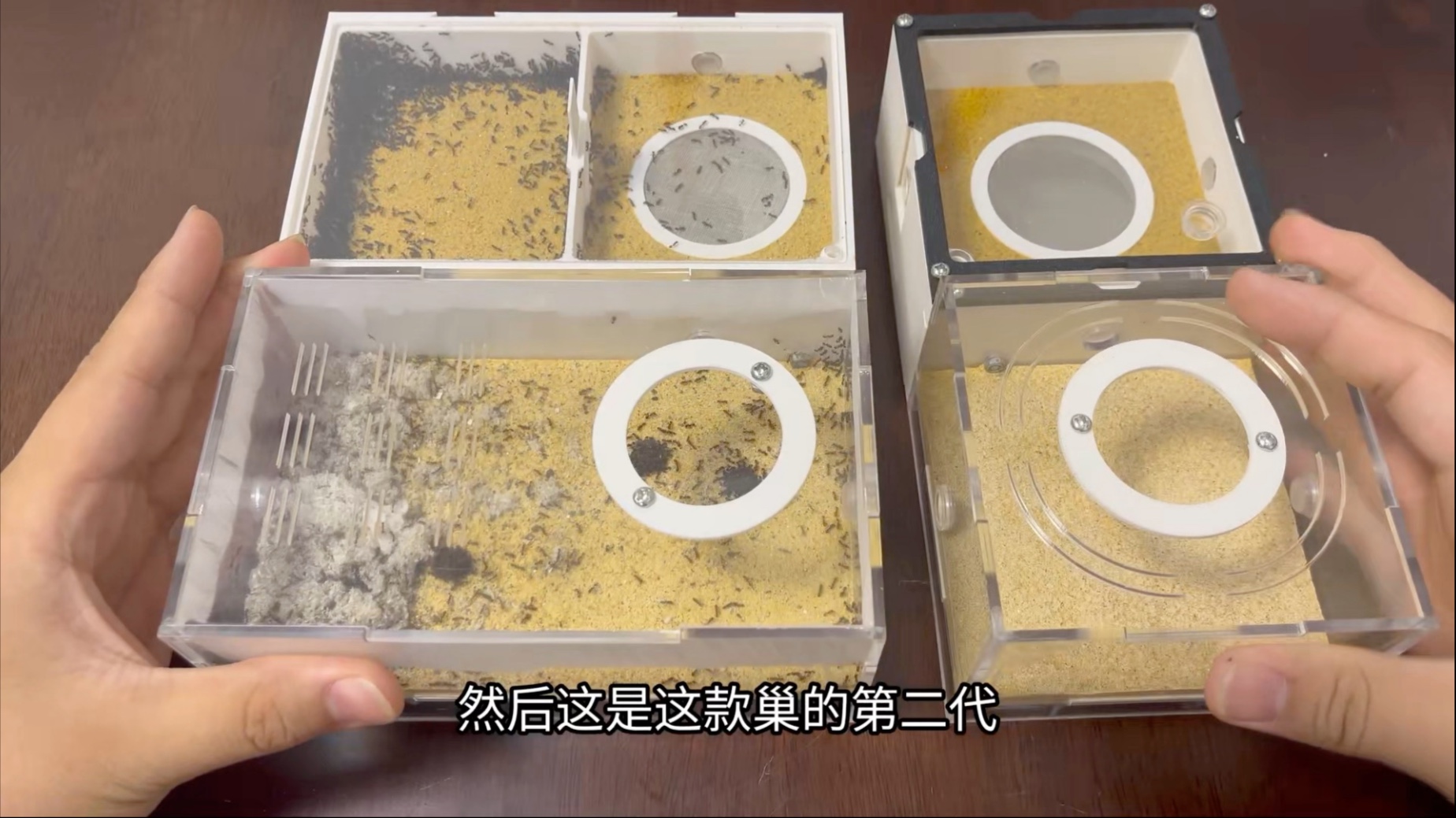 做了个新蚁巢测试拿来抽奖