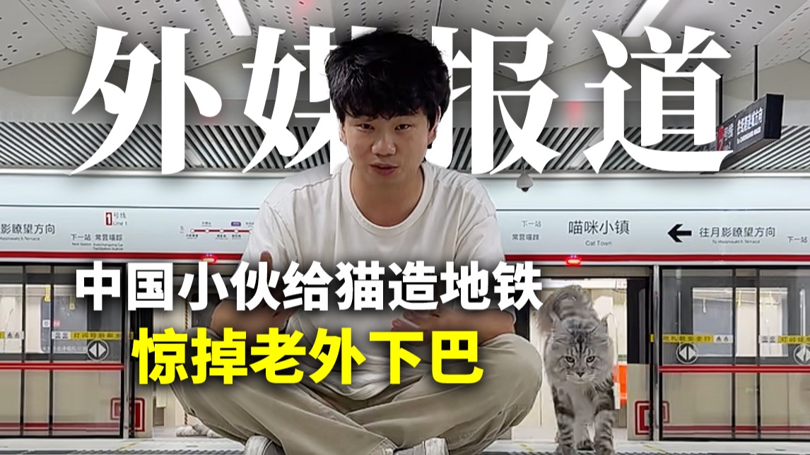 河南小伙给爱猫修地铁站，老外：比美国地铁站好太多了！