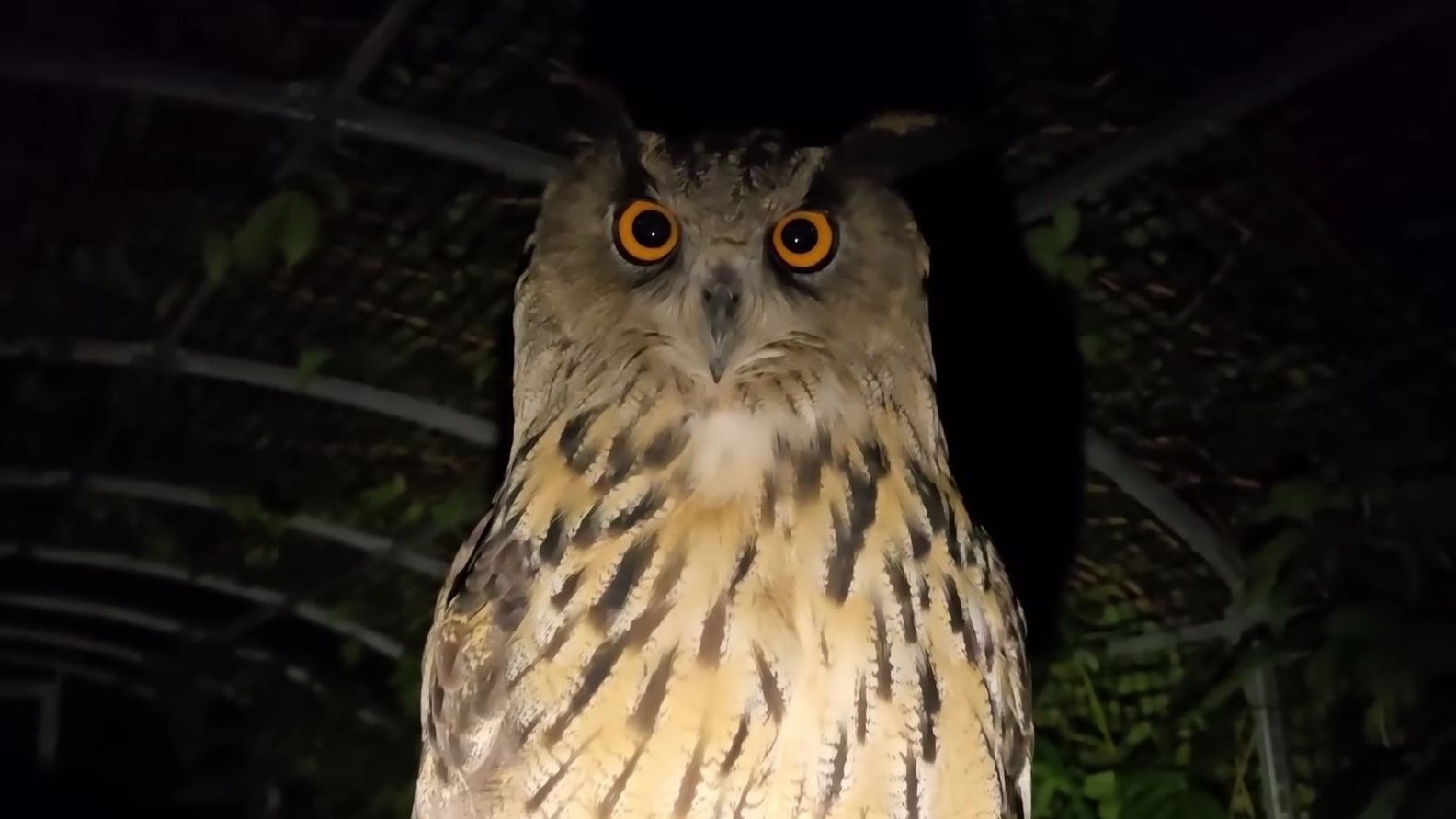 懂室内设计Yoll，房间布置得十分温馨