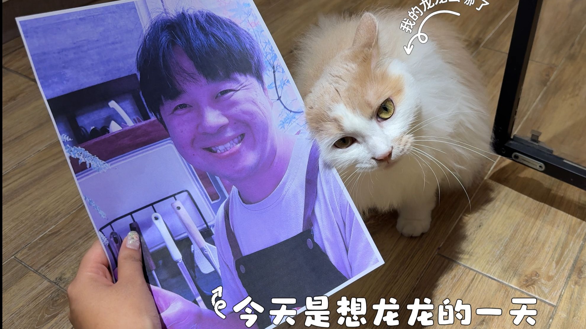 猫猫最爱的人不在家，会不会影响他的生活？