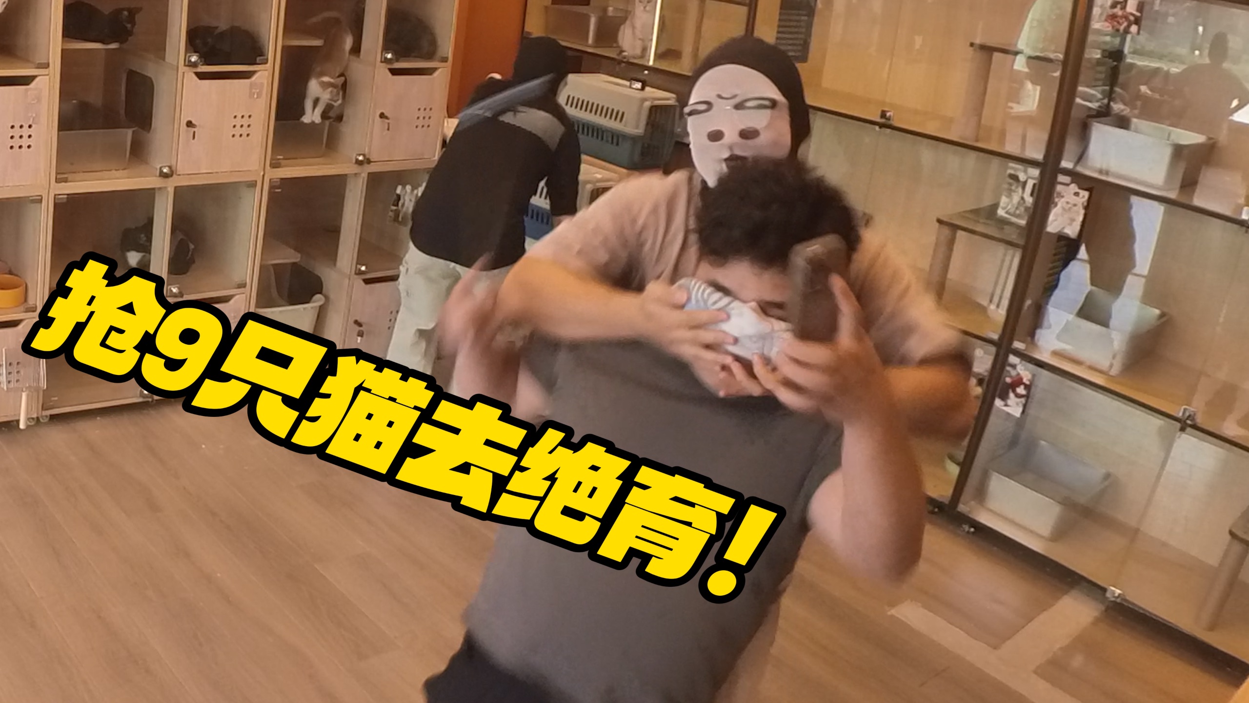 为了骗9只猫去绝育，我们安排了一场抢猫大戏！