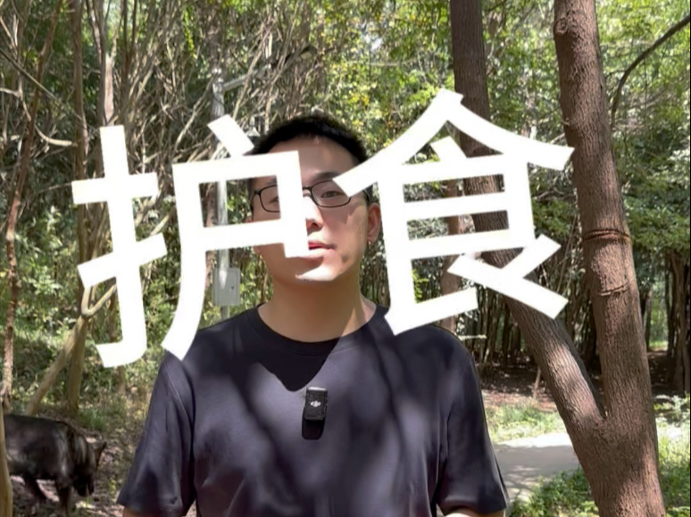 世界的尽头是胡说八道