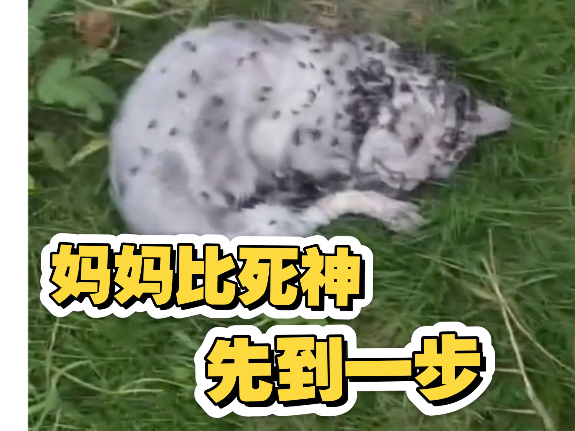 “跨过了十八层地狱，以后就叫你十九啦！”——来自十九的救助人