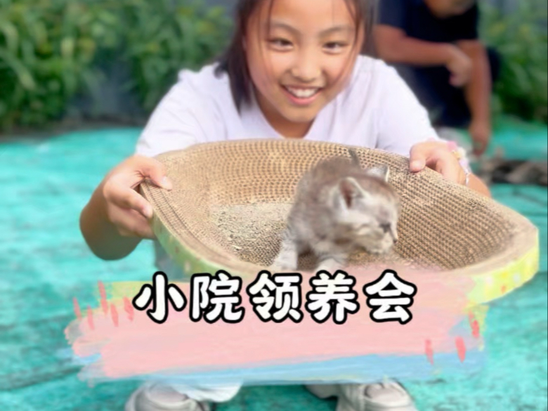 纵有万般不舍，也希望它们都有个好归宿，再见啦我的小家伙们，希望